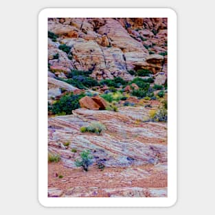 Red Rock Calico Basin 4 Sticker